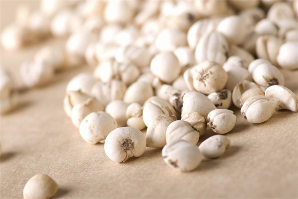 綠生藥業 專注天然養身，科技賦能保健食品新未來